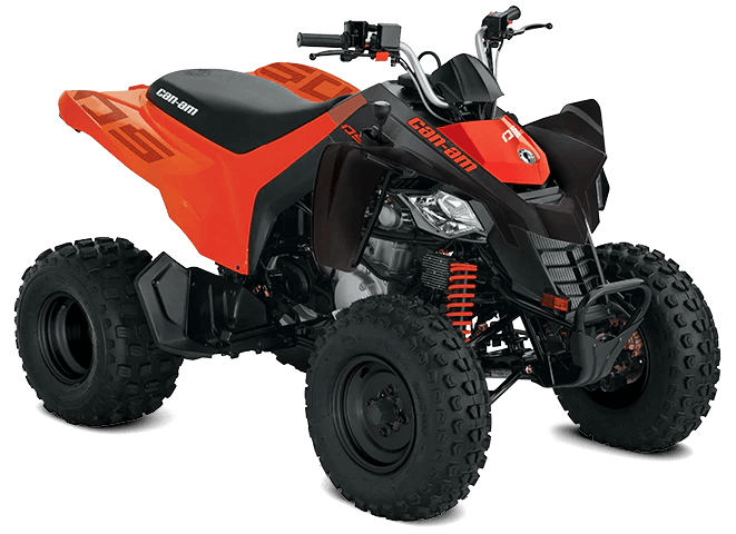 Can-Am DS